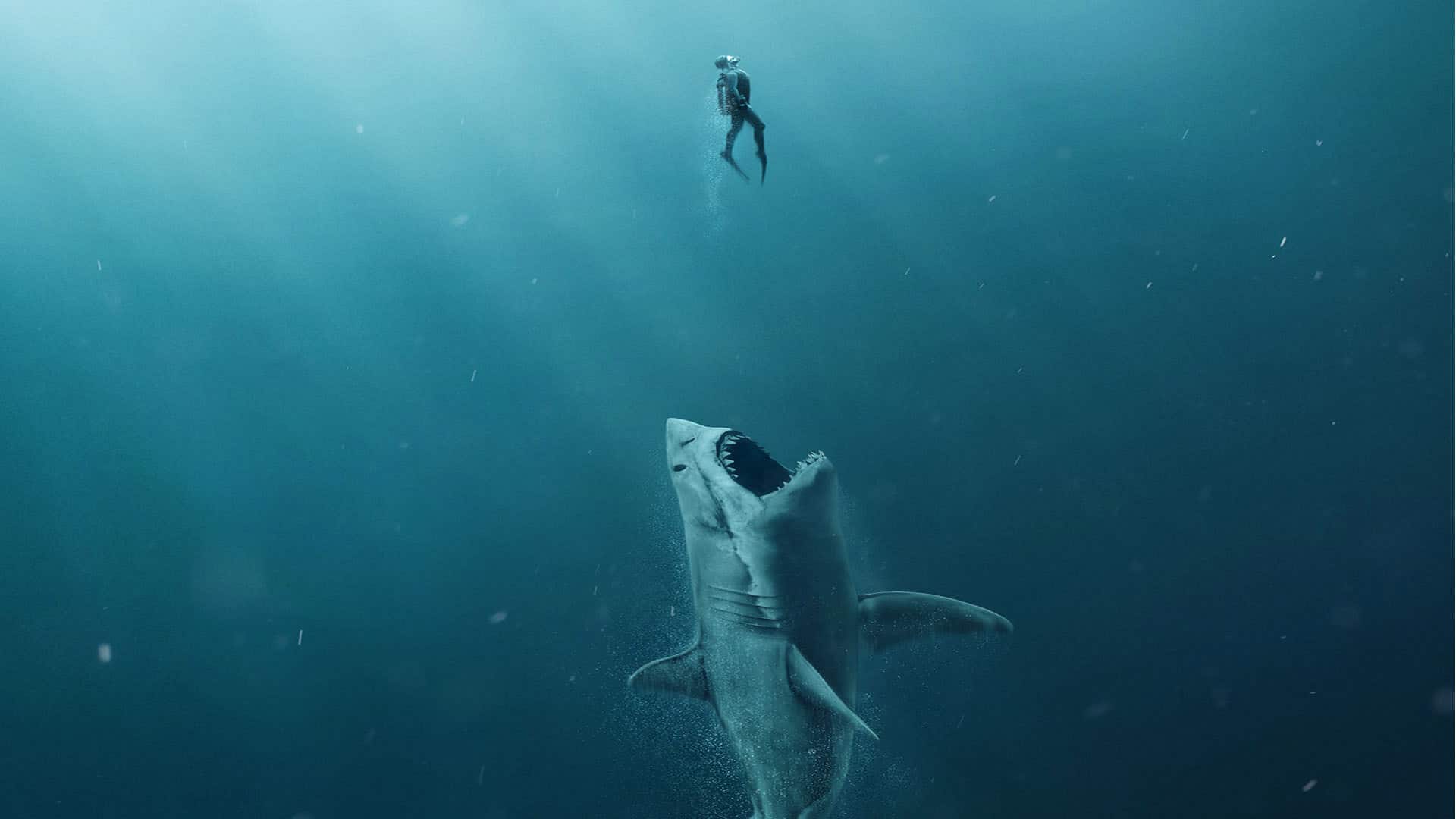 The jaws of death are filling up DStv for Shark Week in July